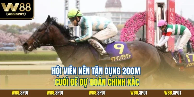 Hội viên nên tận dụng 200m cuối để dự đoán chính xác
